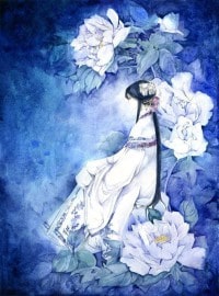 胤禛嫡妻